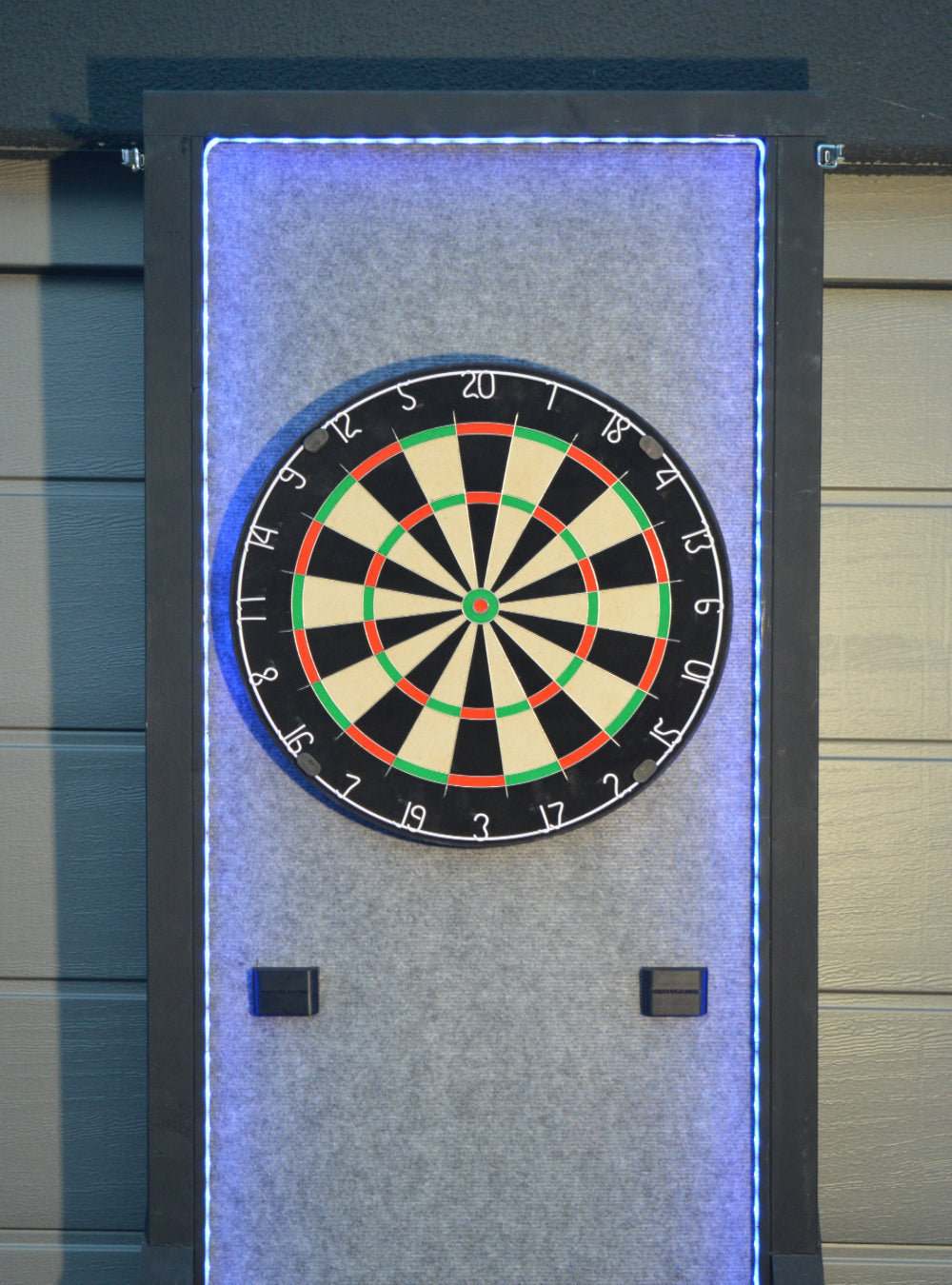 Professioneel dartbord