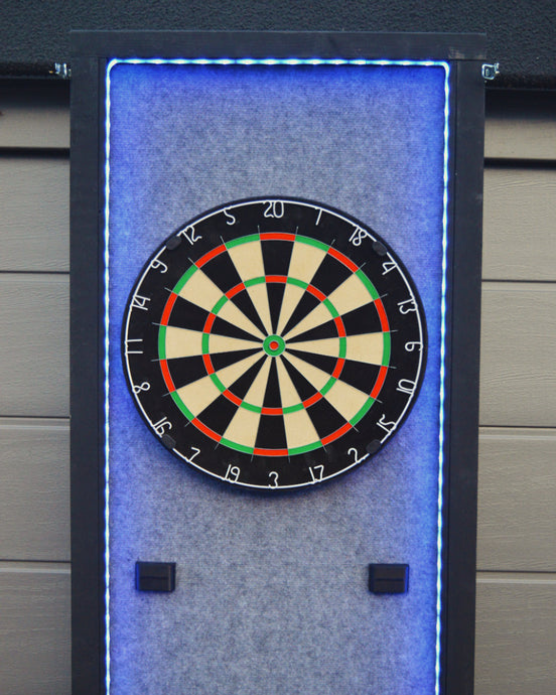 Professioneel dartbord